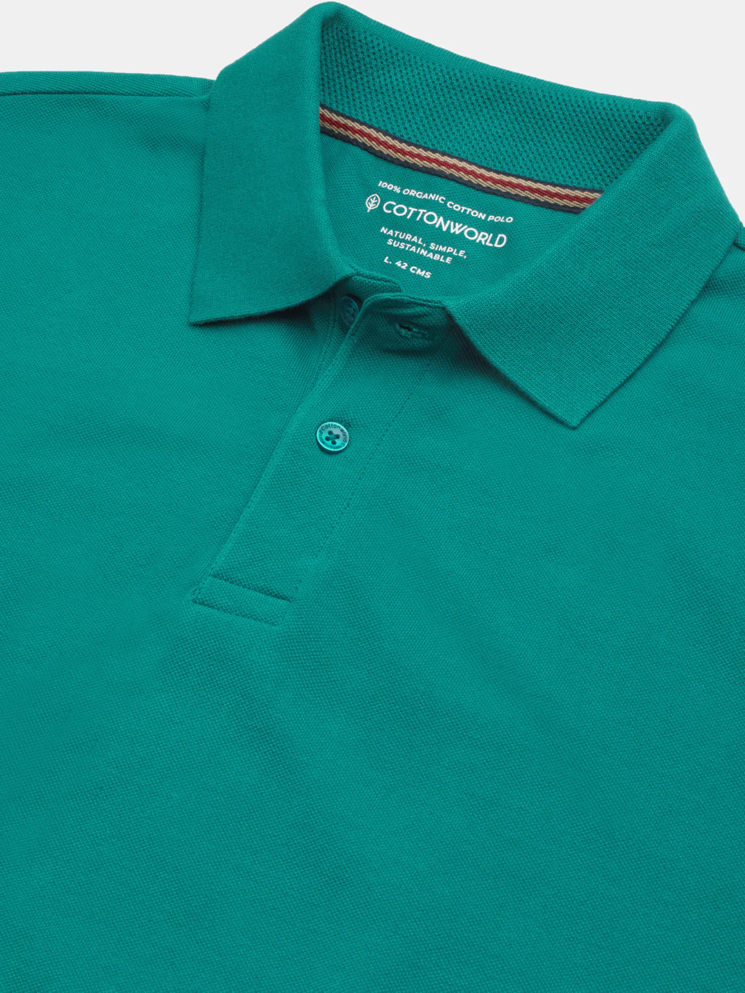 Men's 100% Organic Cotton Regular Fit Tshirt Teal - Image 6